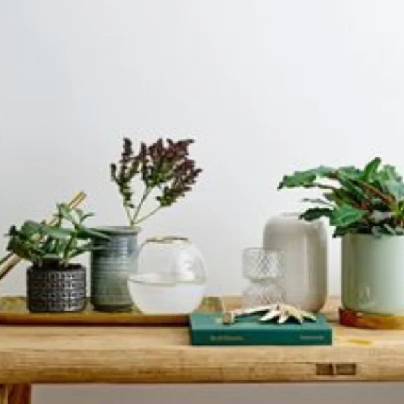 Bloomingville Elegant Dome Glass Vase - Picture 4 of 5